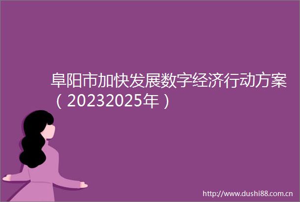阜阳市加快发展数字经济行动方案（20232025年）