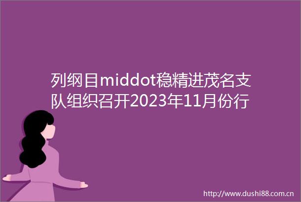 列纲目middot稳精进茂名支队组织召开2023年11月份行政办公会暨初战联战成果现场展示会