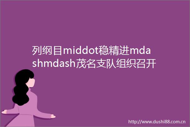 列纲目middot稳精进mdashmdash茂名支队组织召开8月份行政办公会暨危险化学品企业标准化管理现场展示会