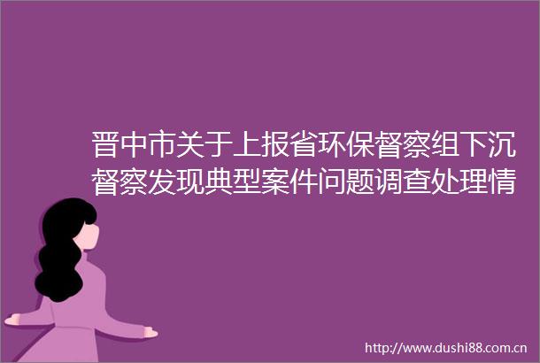 晋中市关于上报省环保督察组下沉督察发现典型案件问题调查处理情况的报告