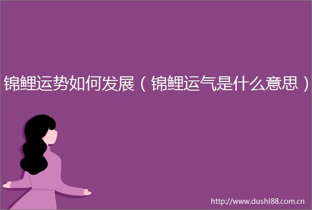 锦鲤运势如何发展（锦鲤运气是什么意思）