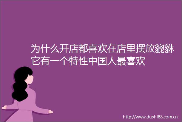 为什么开店都喜欢在店里摆放貔貅它有一个特性人最喜欢