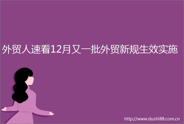 外贸人速看12月又一批外贸新规生效实施