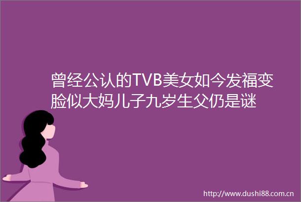 曾经公认的TVB美女如今发福变脸似大妈儿子九岁生父仍是谜