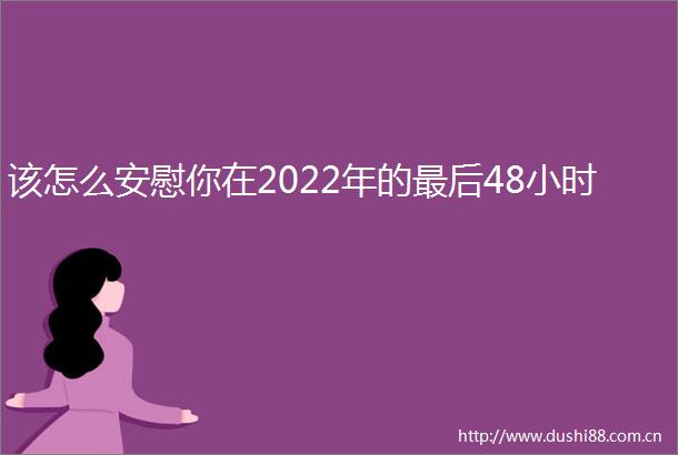 该怎么安慰你在2022年的最后48小时