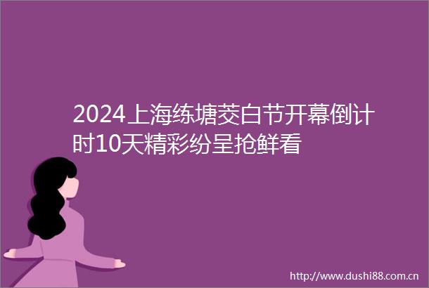 2024上海练塘茭白节开幕倒计时10天精彩纷呈抢鲜看