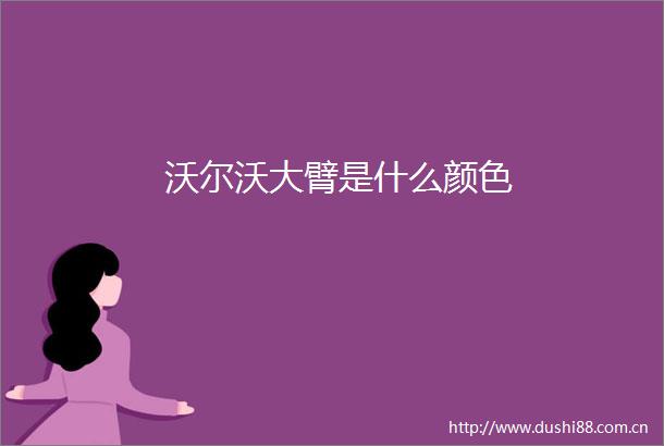 沃尔沃大臂是什么颜色