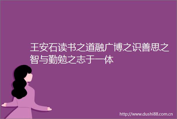 王安石读书之道融广博之识善思之智与勤勉之志于一体