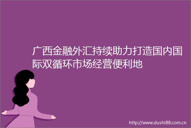广西金融外汇持续助力打造国内国际双循环市场经营便利地