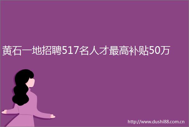 黄石一地招聘517名人才最高补贴50万