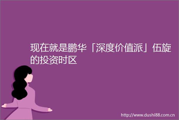 现在就是鹏华「深度价值派」伍旋的投资时区