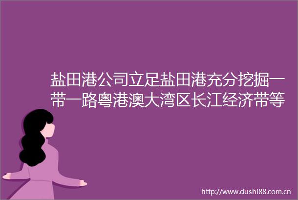 盐田港公司立足盐田港充分挖掘一带一路粤港澳大湾区长江经济带等战略契机推进港口网络布局和协同发展