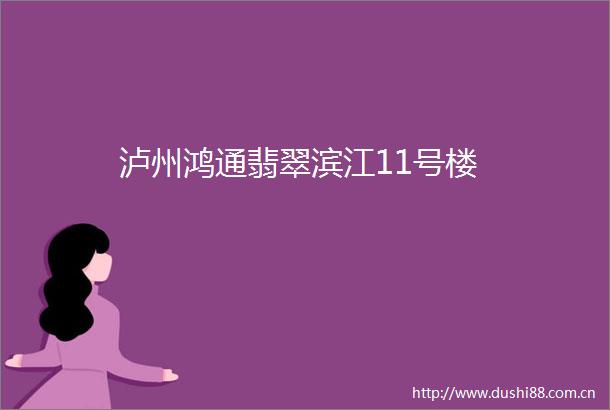 泸州鸿通翡翠滨江11号楼