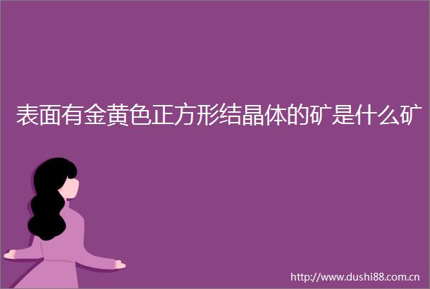 表面有金黄色正方形结晶体的矿是什么矿