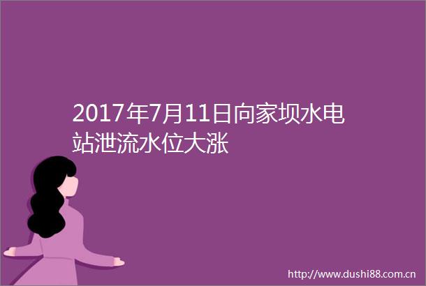 2017年7月11日向家坝水电站泄流水位大涨