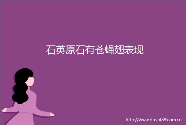 石英原石有苍蝇翅表现