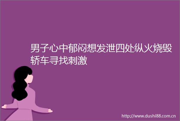 男子心中郁闷想发泄四处纵火烧毁轿车寻找刺激