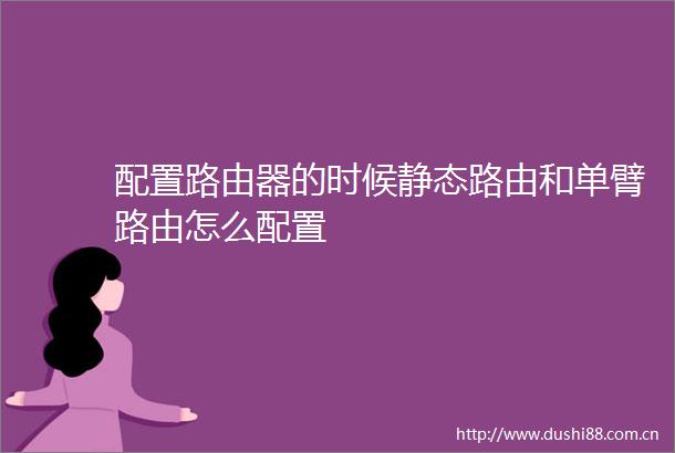 配置路由器的时候静态路由和单臂路由怎么配置