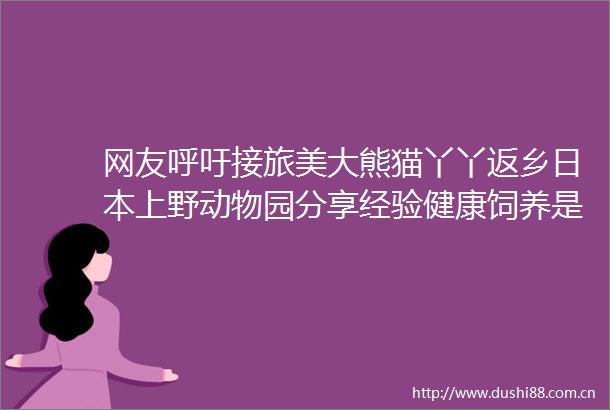 网友呼吁接旅美大熊猫丫丫返乡上野动物园分享经验健康饲养是根本性条件