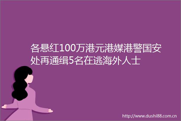 各悬红100万港元港媒港警国安处再通缉5名在逃海外人士
