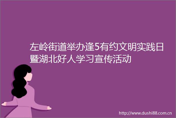 左岭街道举办逢5有约文明实践日暨湖北好人学习宣传活动