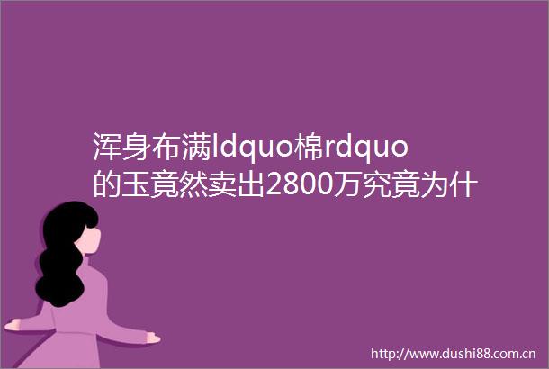 浑身布满ldquo棉rdquo的玉竟然卖出2800万究竟为什么