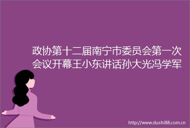 政协第十二届南宁市委员会第一次会议开幕王小东讲话孙大光冯学军出席杜伟作报告