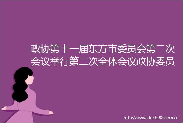 政协第十一届东方市委员会第二次会议举行第二次全体会议政协委员聚焦发展建诤言凝心聚力献良策