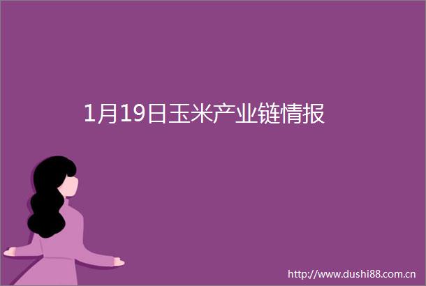 1月19日玉米产业链情报