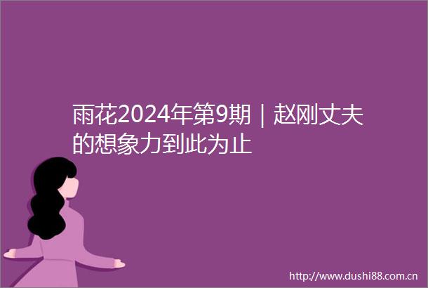 雨花2024年第9期｜赵刚丈夫的想象力到此为止