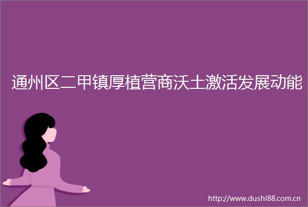 通州区二甲镇厚植营商沃土激活发展动能