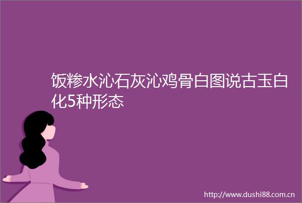 饭糁水沁石灰沁鸡骨白图说古玉白化5种形态