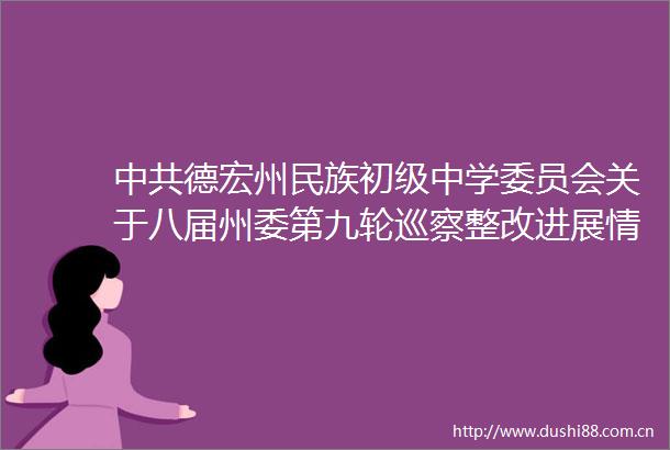德宏州民族初级中学委员会关于八届州委第九轮巡察整改进展情况的通报