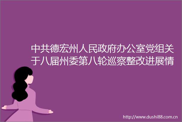德宏州办公室党组关于八届州委第八轮巡察整改进展情况的通报