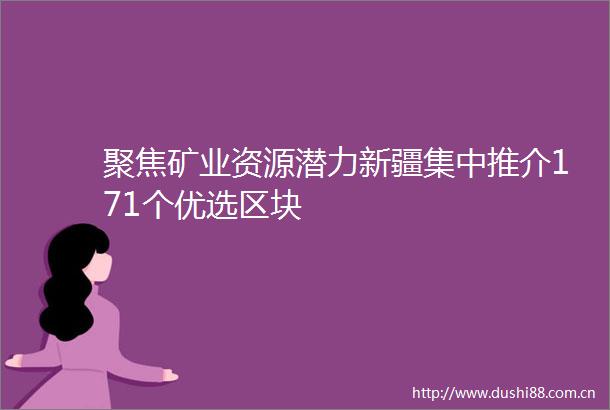 聚焦矿业资源潜力新疆集中推介171个优选区块