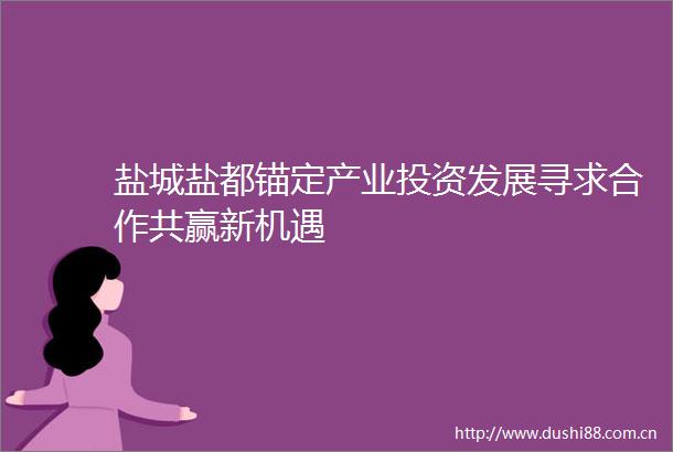 盐城盐都锚定产业投资发展寻求合作共赢新机遇