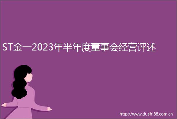 ST金一2023年半年度董事会经营评述
