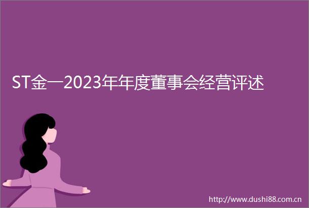 ST金一2023年年度董事会经营评述
