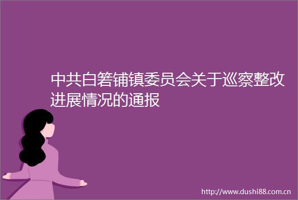 白箬铺镇委员会关于巡察整改进展情况的通报