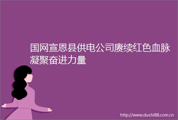 国网宣恩县供电公司赓续红色血脉凝聚奋进力量