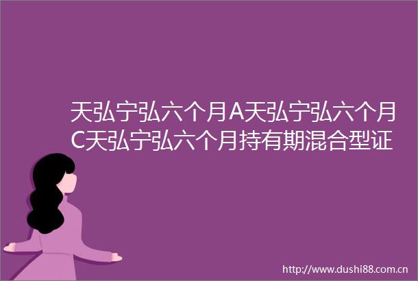 天弘宁弘六个月A天弘宁弘六个月C天弘宁弘六个月持有期混合型证券投资基金招募说明书更新