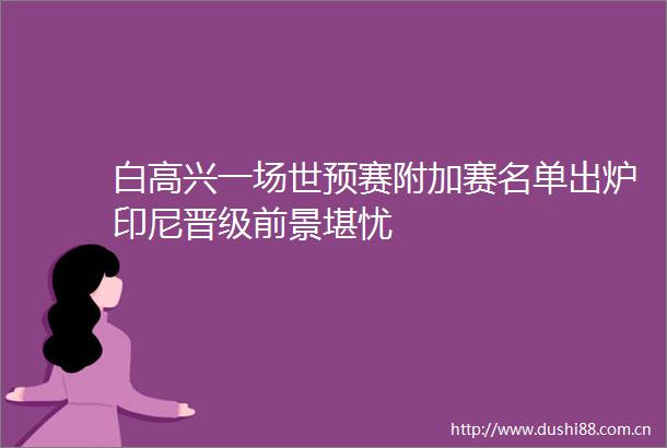 白高兴一场世预赛附加赛名单出炉印尼晋级前景堪忧