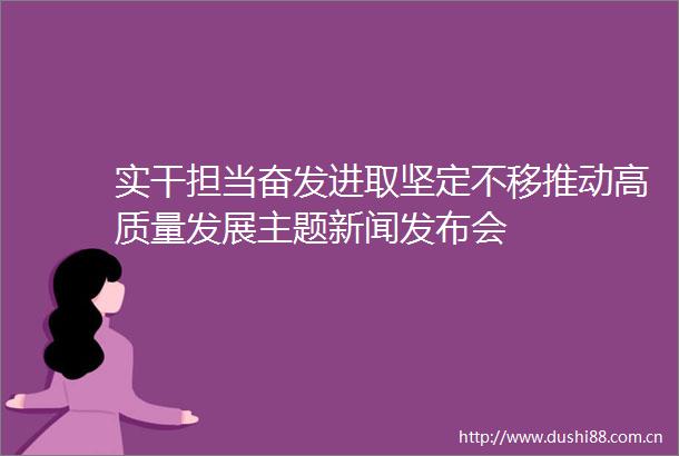 实干担当奋发进取坚定不移推动高质量发展主题新闻发布会