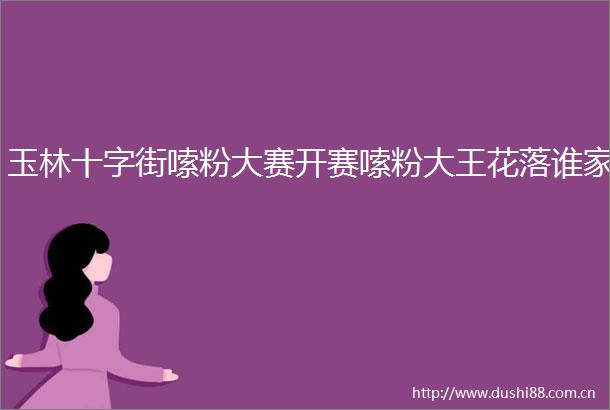 玉林十字街嗦粉大赛开赛嗦粉大王花落谁家