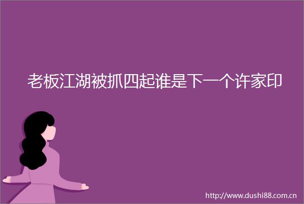 老板江湖被抓四起谁是下一个许家印