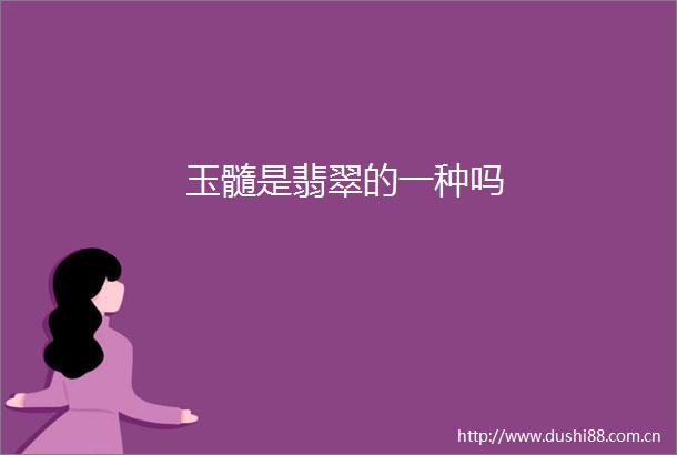 玉髓是翡翠的一种吗