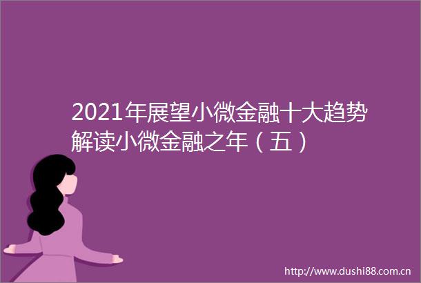2021年展望小微金融十大趋势解读小微金融之年（五）