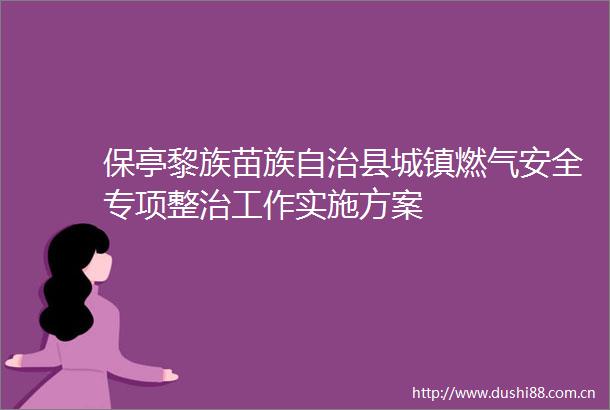 保亭黎族苗族自治县城镇燃气安全专项整治工作实施方案