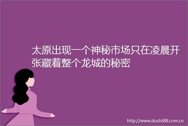 太原出现一个神秘市场只在凌晨开张藏着整个龙城的秘密