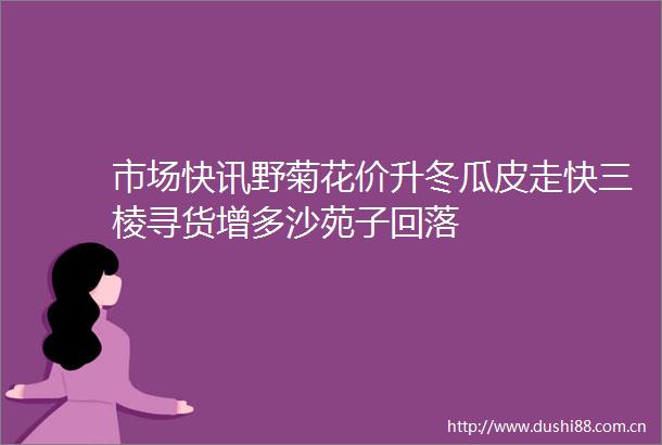 市场快讯野菊花价升冬瓜皮走快三棱寻货增多沙苑子回落
